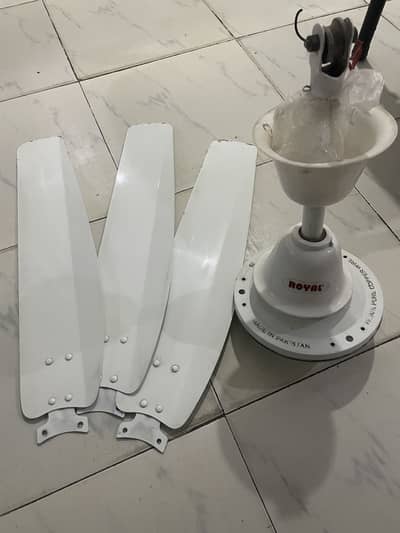 Royal Fan 56" - 100% Pure Copper Winding (Good Condition)