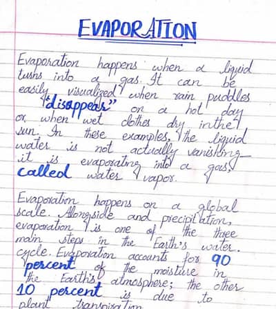 assignment writing