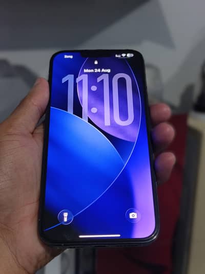 Apple iPhone 13 Pro Max