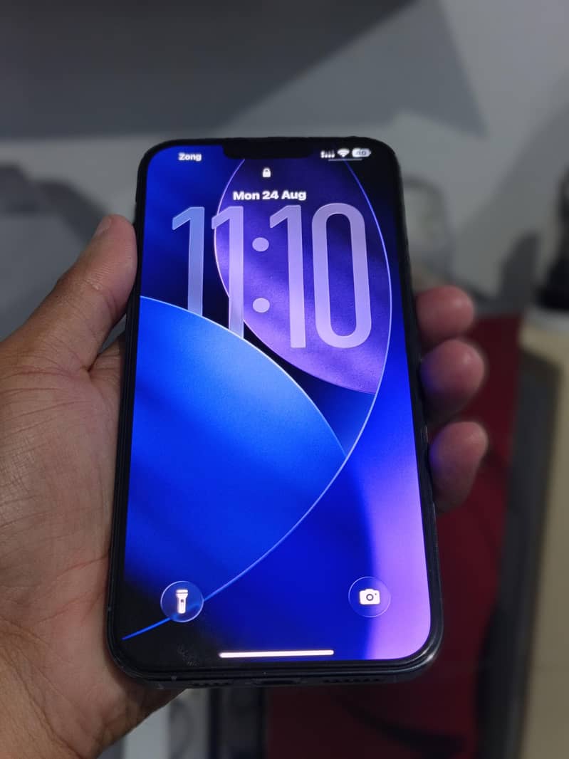 Apple iPhone 13 Pro Max 0