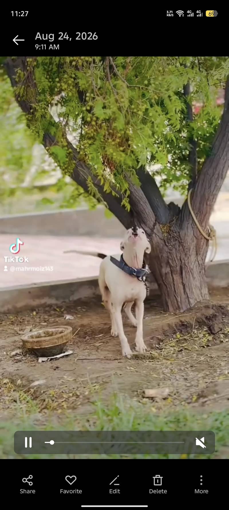 بتاے والے کو نقد 50,000 انعام دوں گا 2