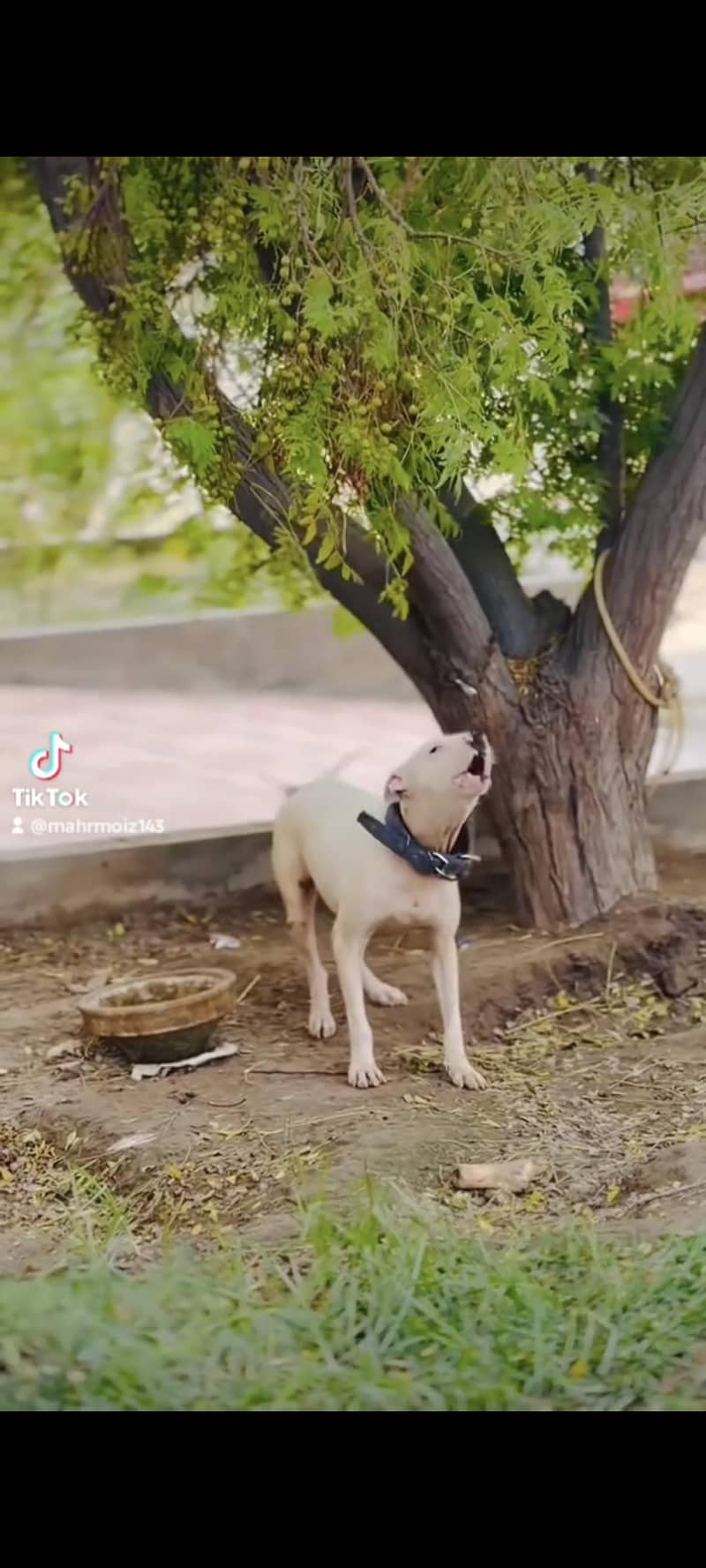 بتاے والے کو نقد 50,000 انعام دوں گا 3