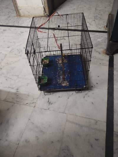 cage for parrots