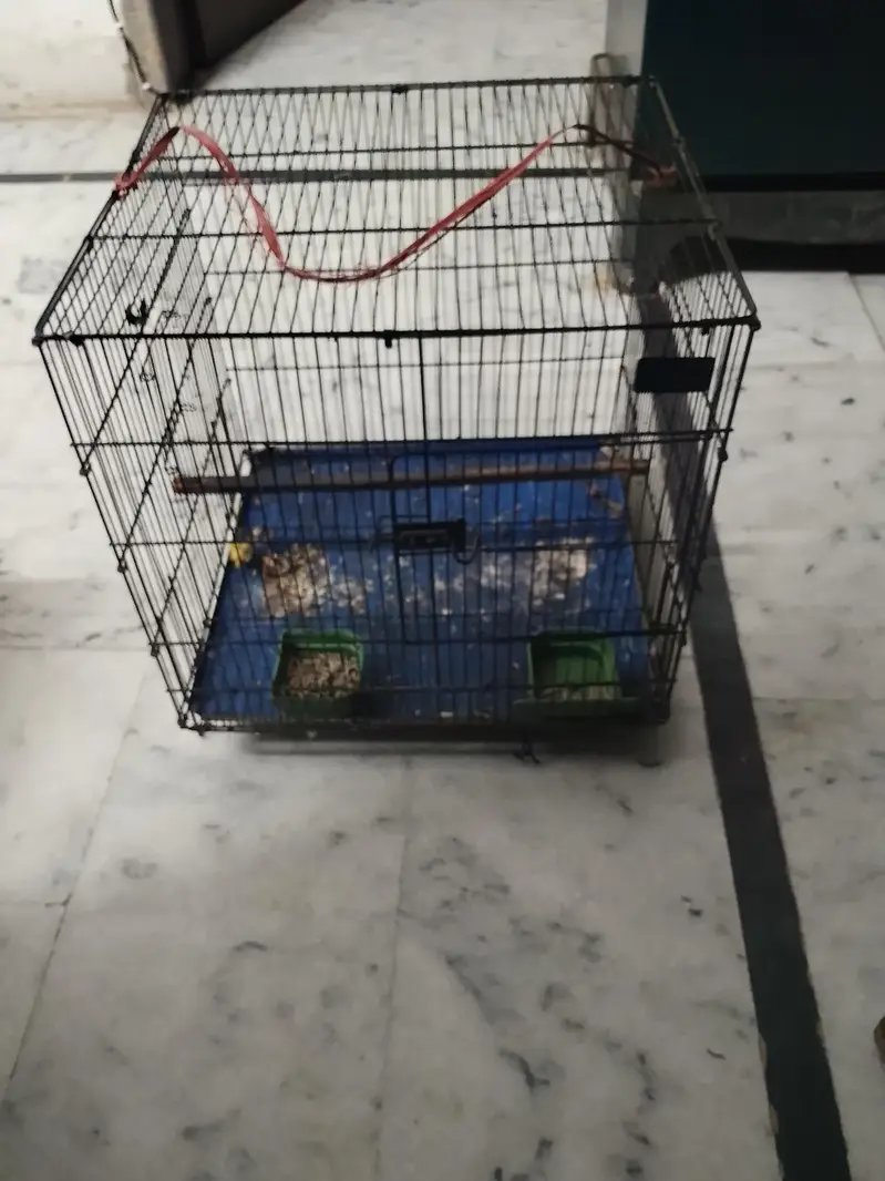 cage for parrots — photo 3