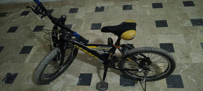 Gaint company gear cycle
