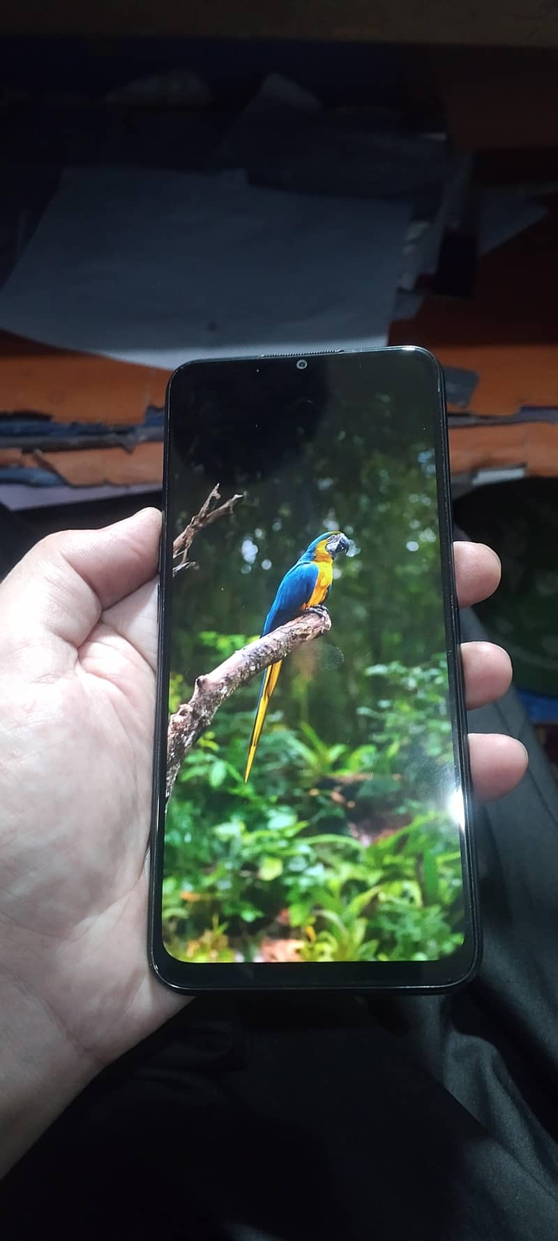 Oppo A16 8