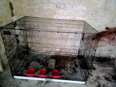 Cage for birds