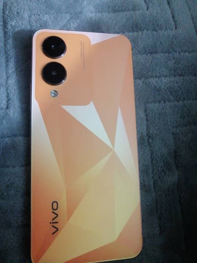 Vivo Y17s