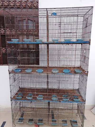 Iron Bird cage