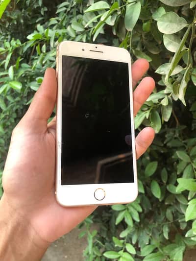 Apple iPhone 6S Plus 16 gb factory unlock 15.7 ios