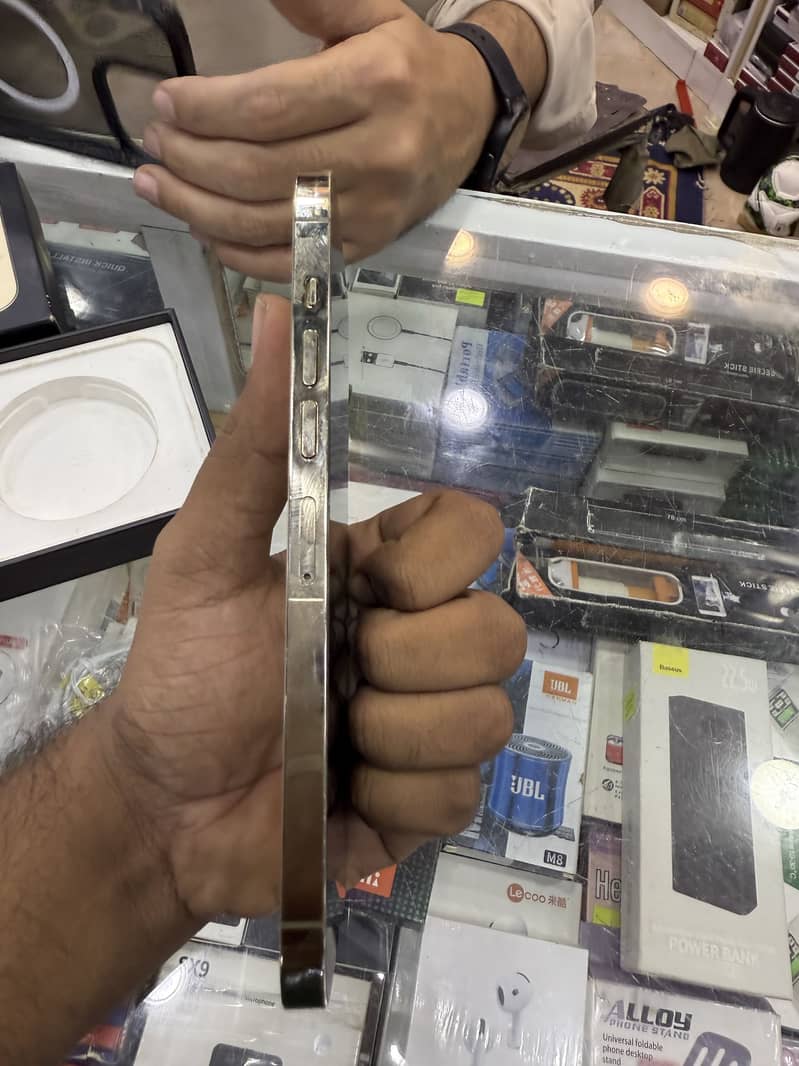 Apple iPhone 13 Pro Max 1