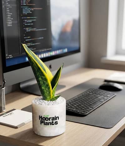 Marble Pot With Live Plants