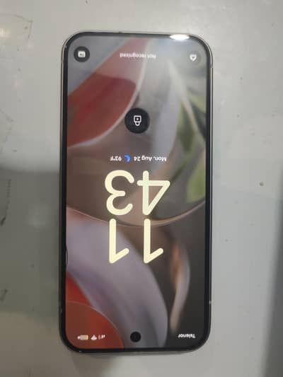 Google Pixel 9