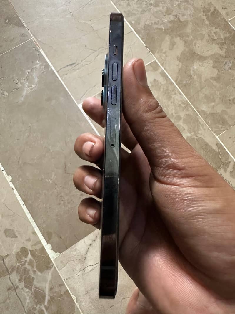 Apple iPhone 13 Pro Max 2
