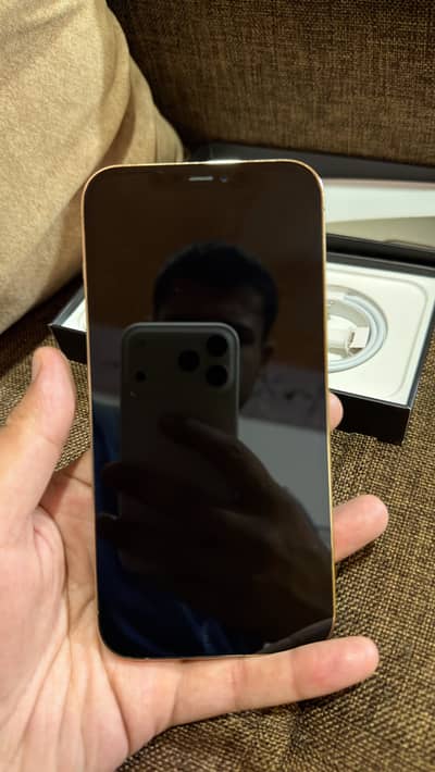 Apple iPhone 12 Pro Max Gold 256GB PTA Approved