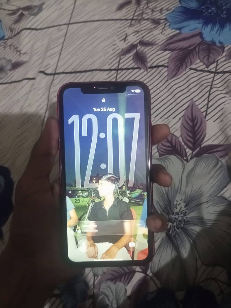 Apple iPhone 11 1