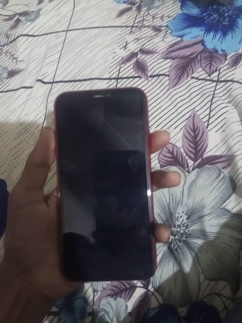 Apple iPhone 11 2