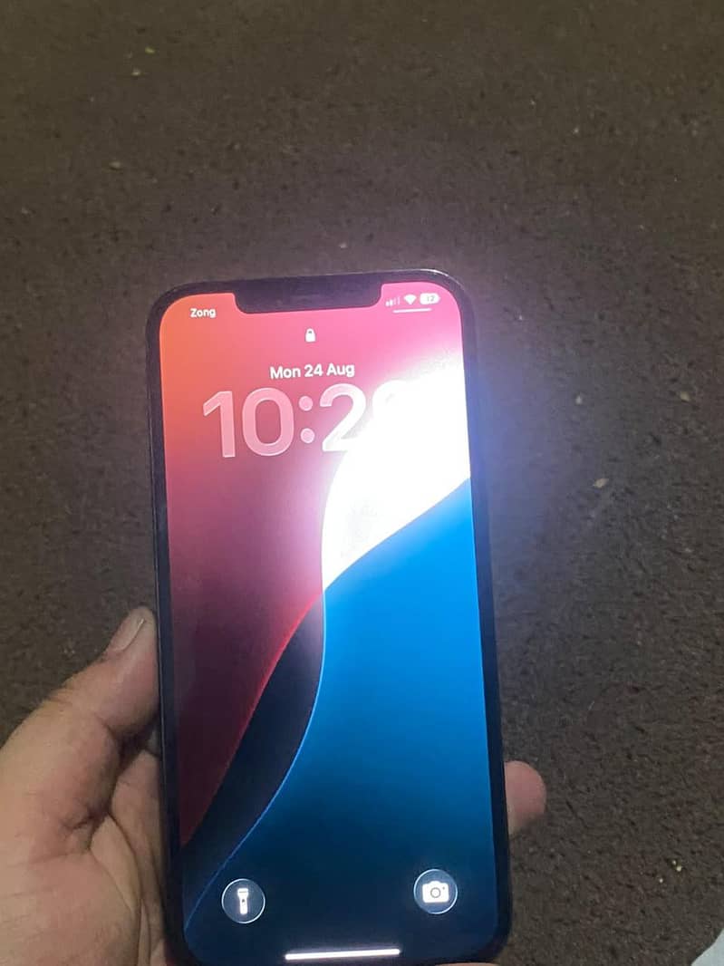 Apple iPhone 12 Pro Max 2