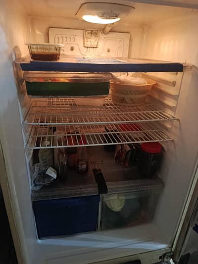 waves jumbo fridge