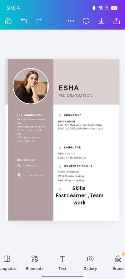 Professional CV banwain - 500 Rs - 2 Ghante Main Delivery