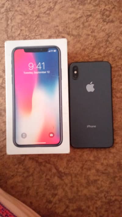 Apple iPhone X