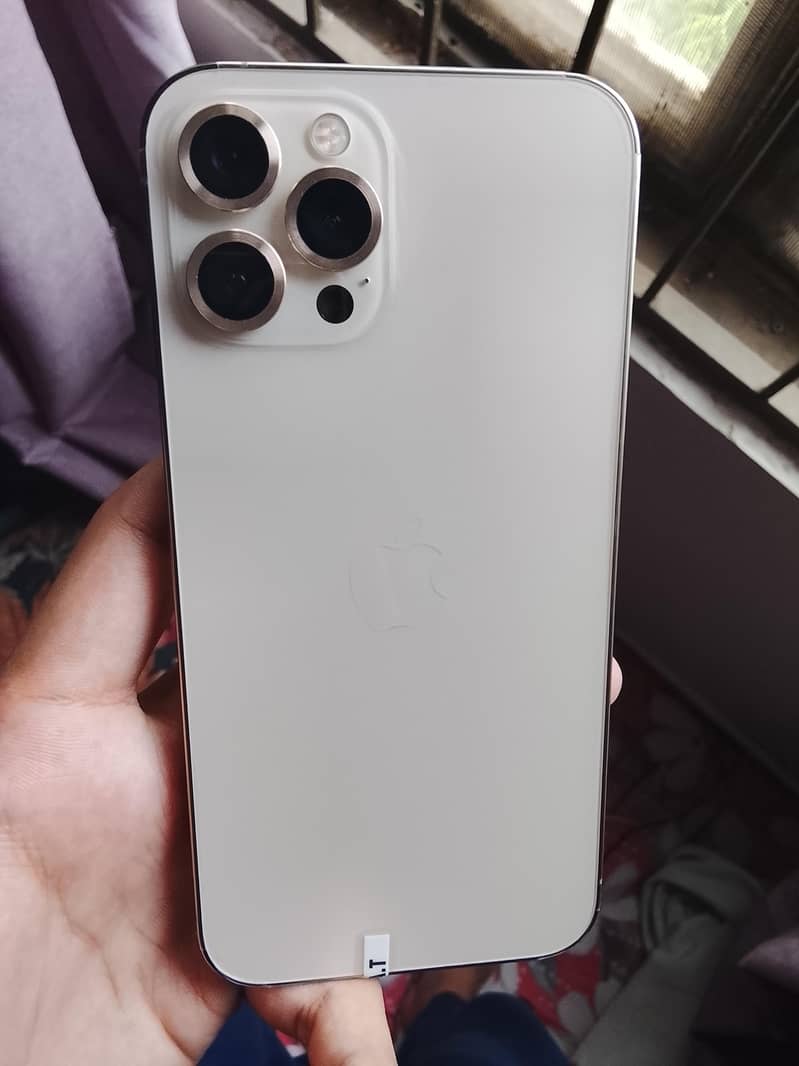 Apple iPhone 12 Pro Max 0