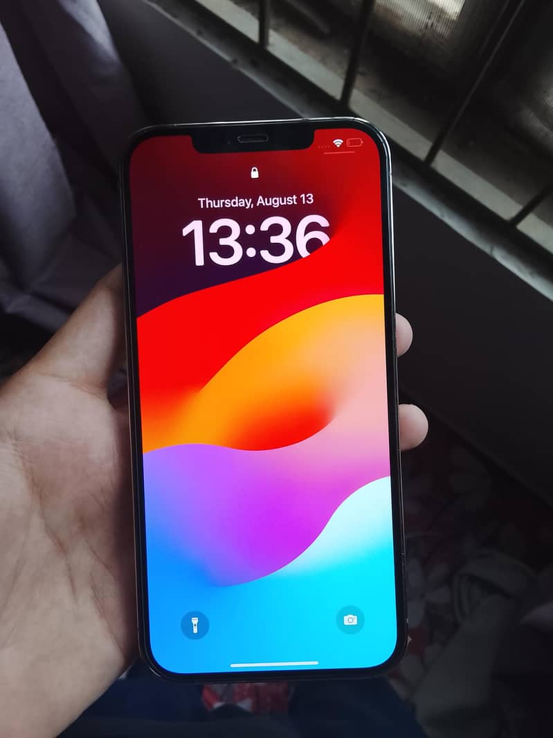 Apple iPhone 12 Pro Max 1
