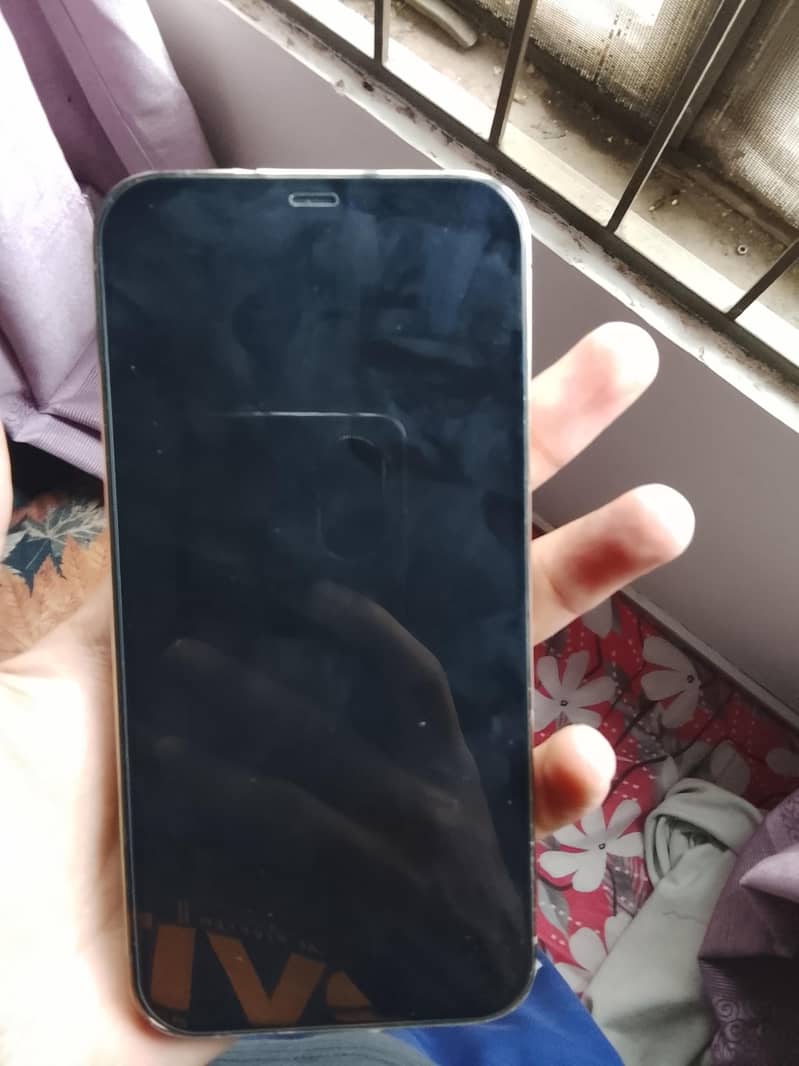 Apple iPhone 12 Pro Max 2