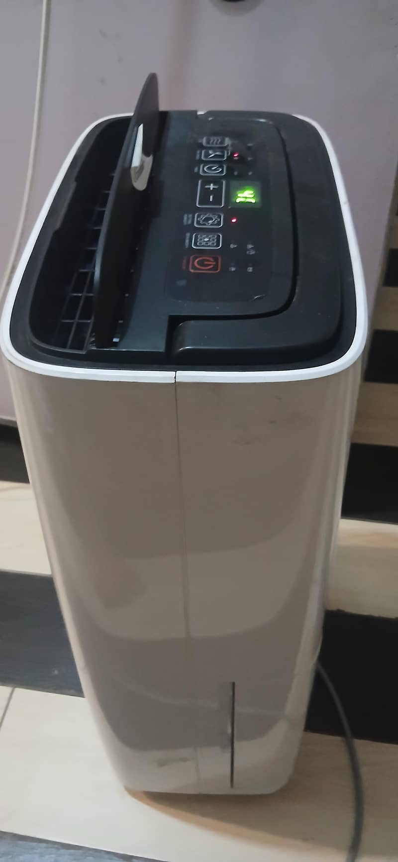 Incubator 6