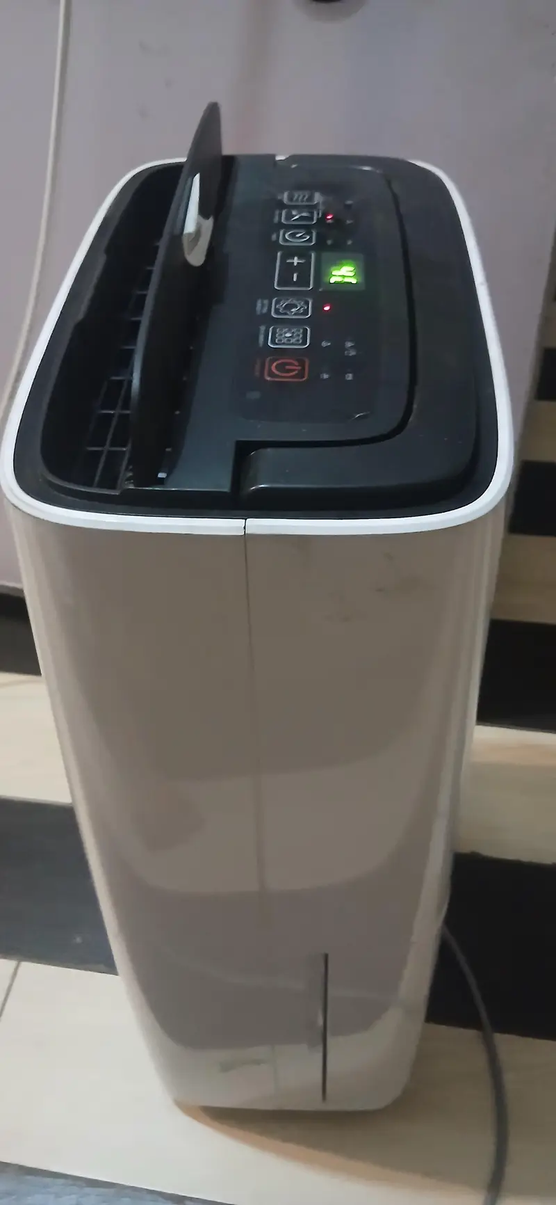 Incubator — photo 7