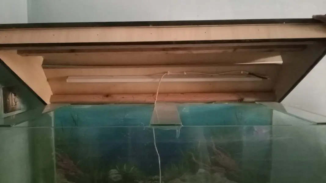 aquarium — photo 2