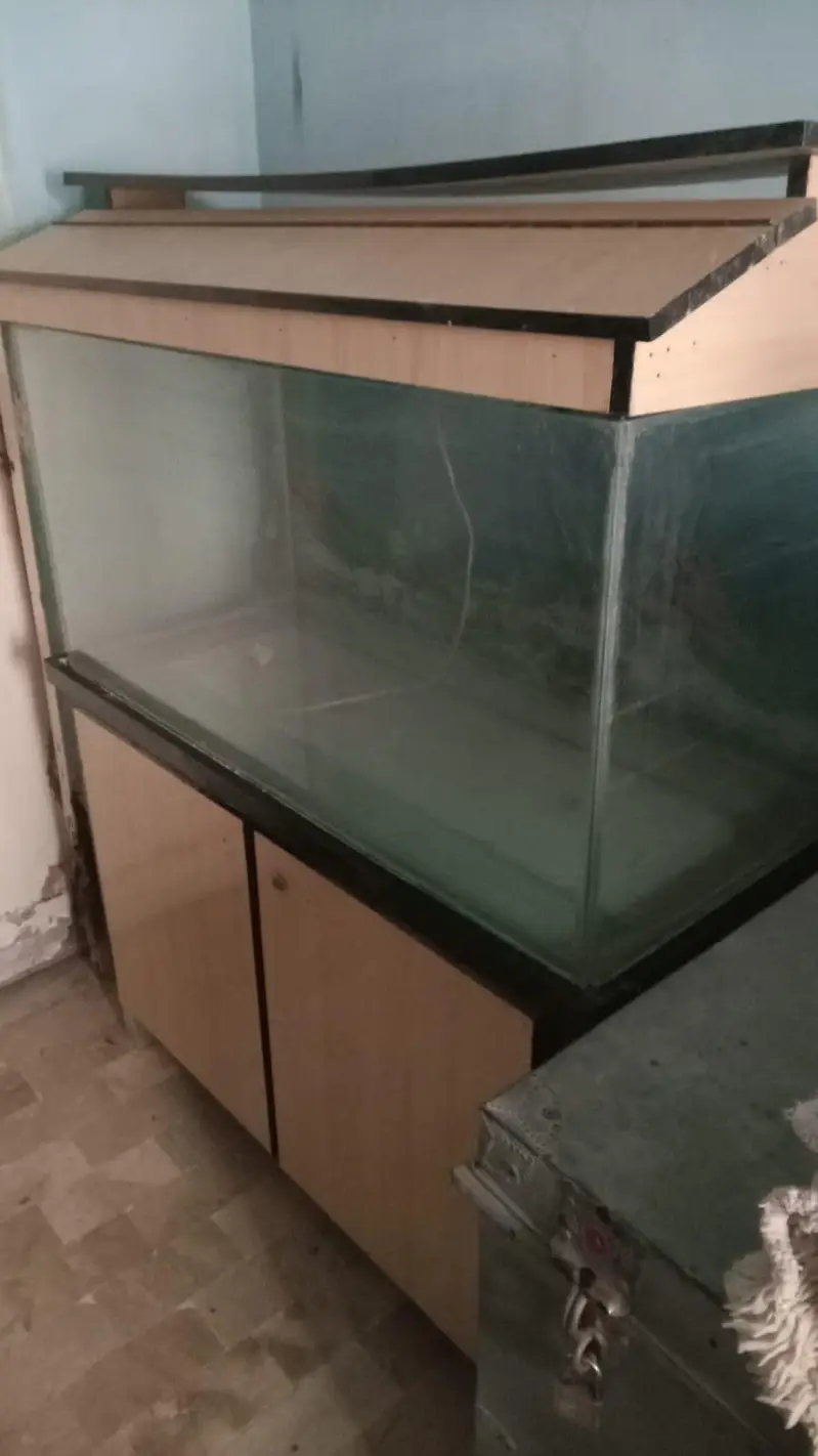 aquarium — photo 3