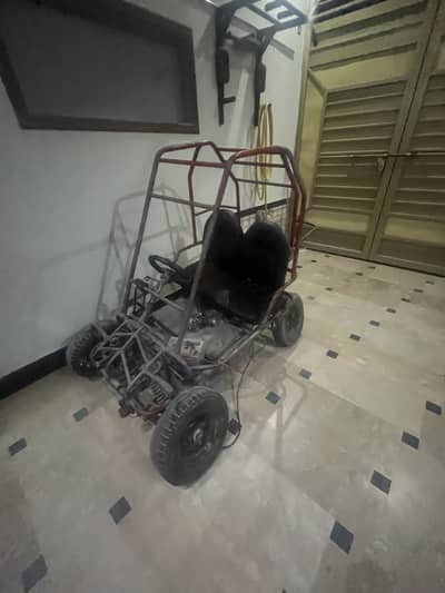 Buddy For sale Urgent