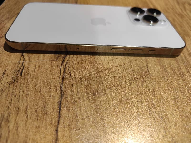 Apple iPhone 13 Pro 1