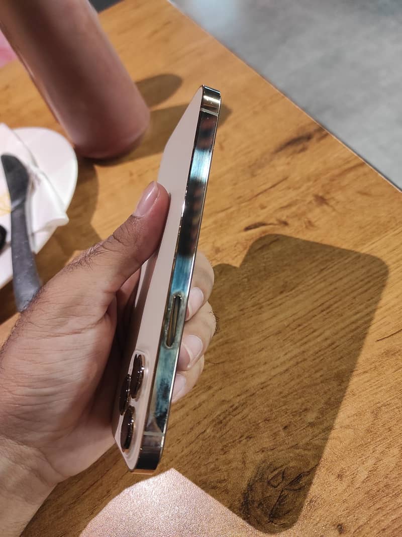 Apple iPhone 13 Pro 10