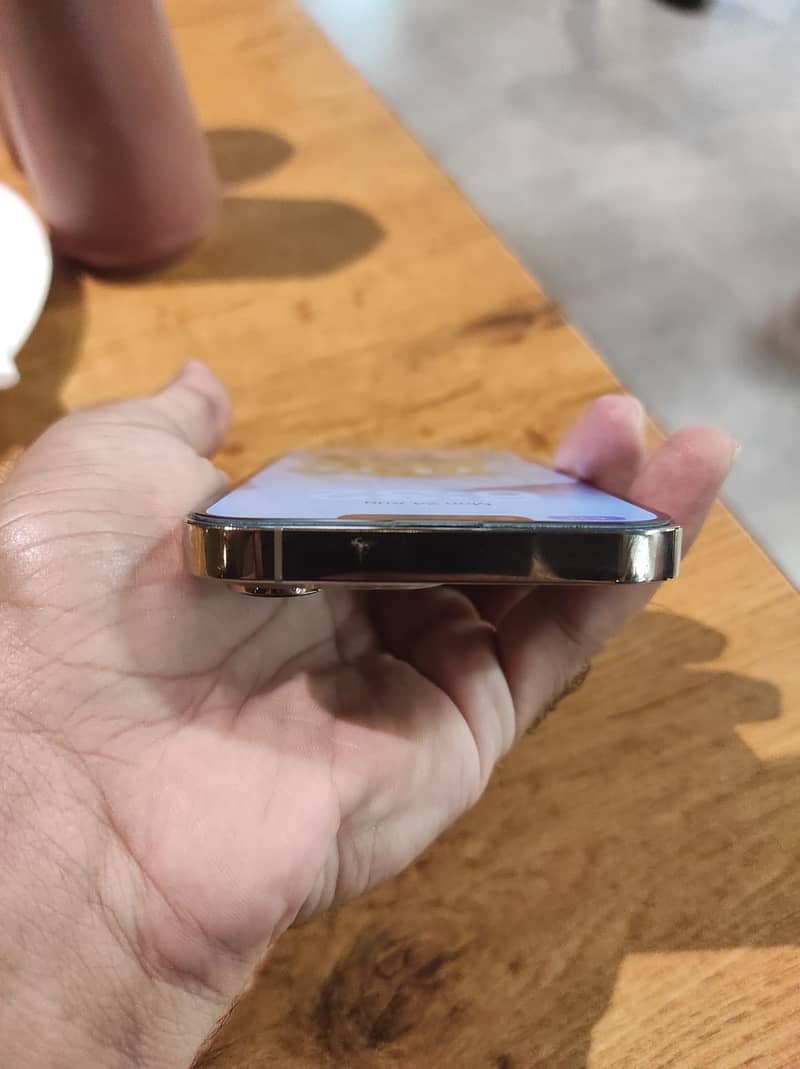 Apple iPhone 13 Pro 4