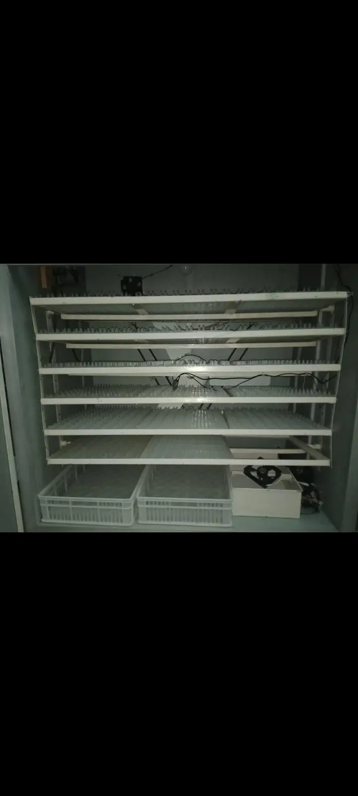 1600 eggs Incubator — photo 3