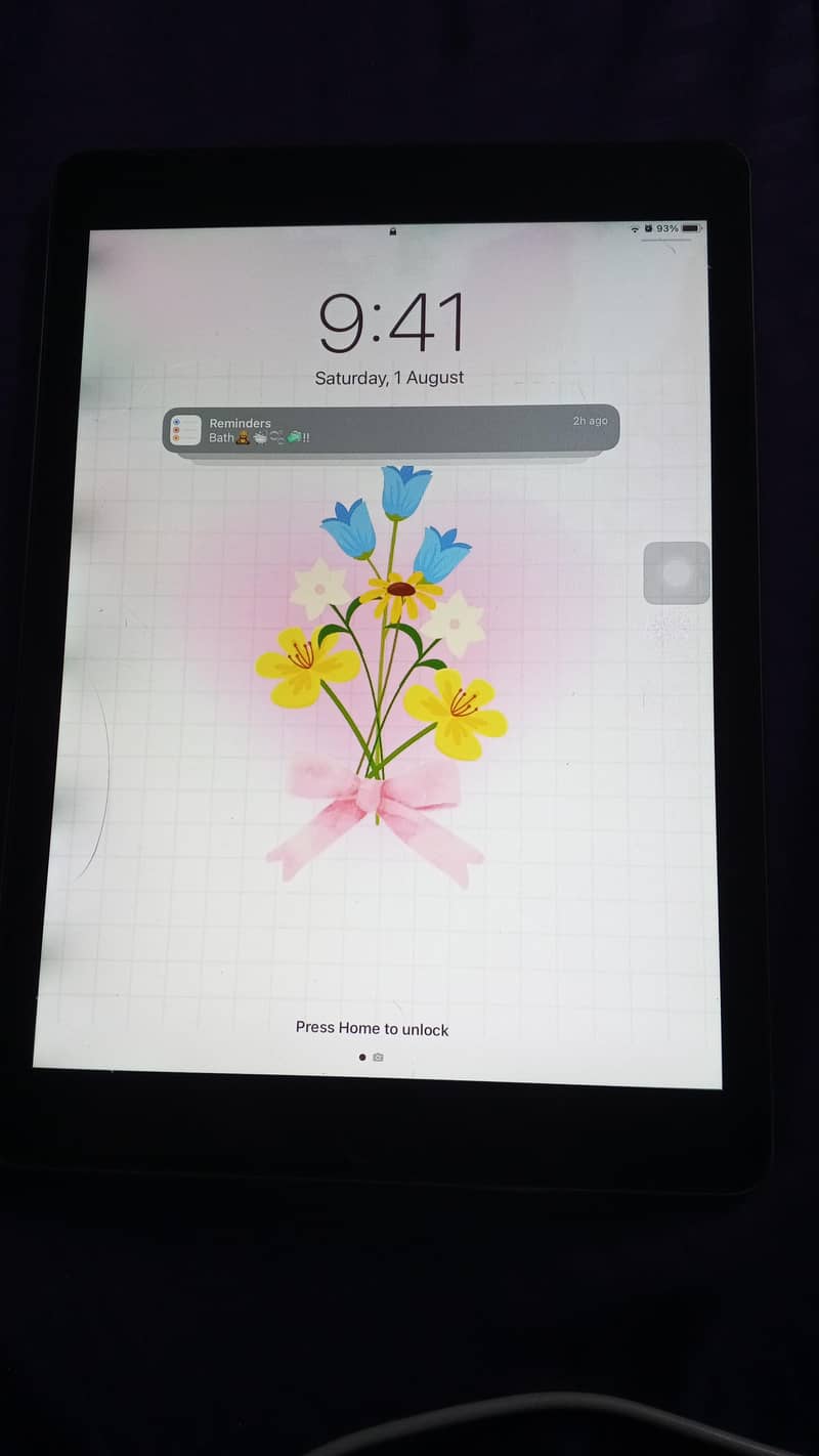 Ipad Air 2 1
