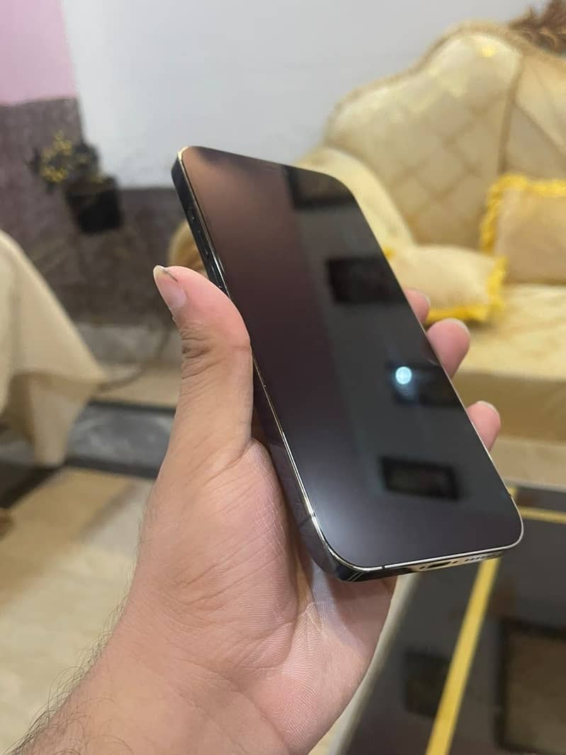 Apple iPhone 12 Pro Max 2