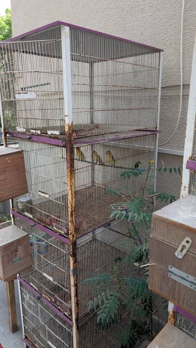 2 Bird Cages For Sell