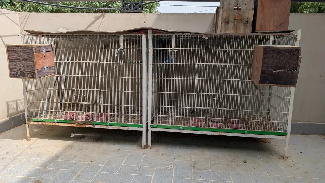 2 Bird Cages For Sell — photo 2