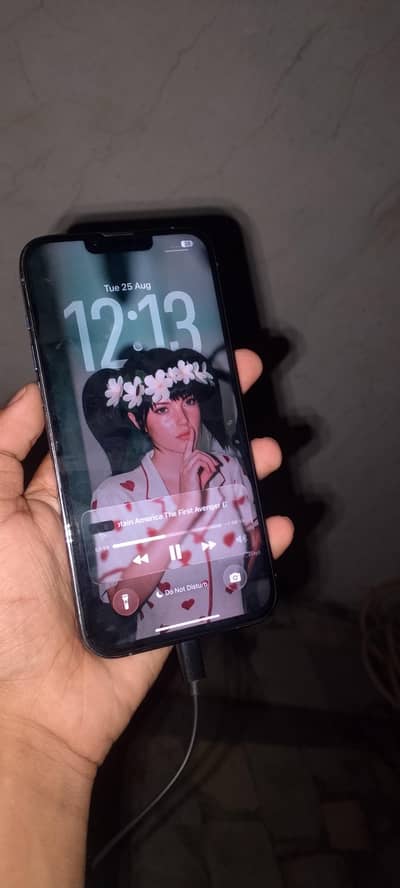 Apple iPhone 13 Pro Max
