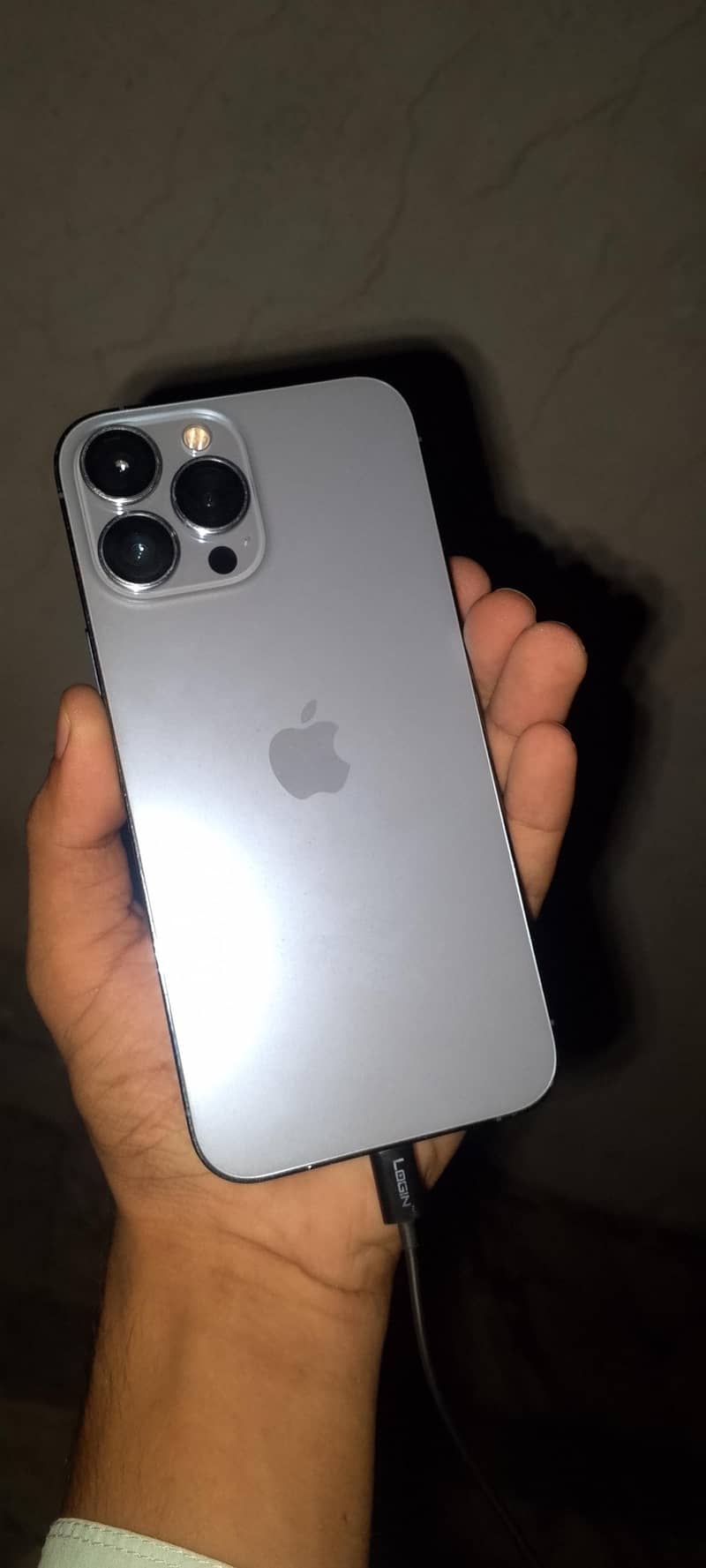 Apple iPhone 13 Pro Max 1
