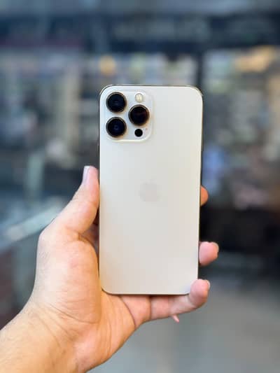 Apple iPhone 13 Pro Max