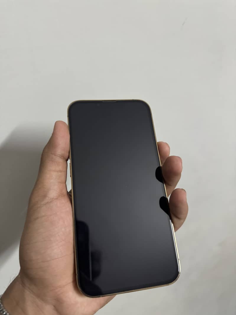 Apple iPhone 13 Pro 1
