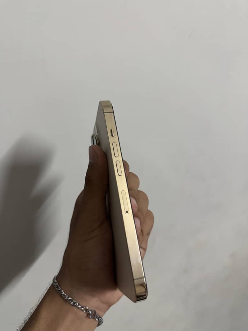 Apple iPhone 13 Pro 2