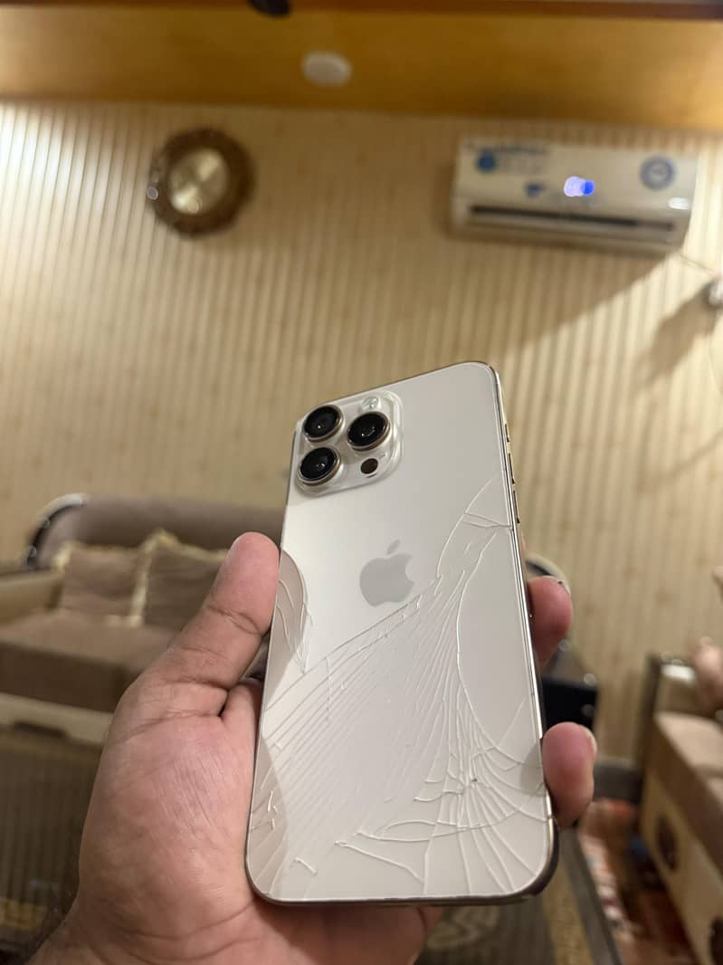 Apple iPhone 16 Pro Max 1