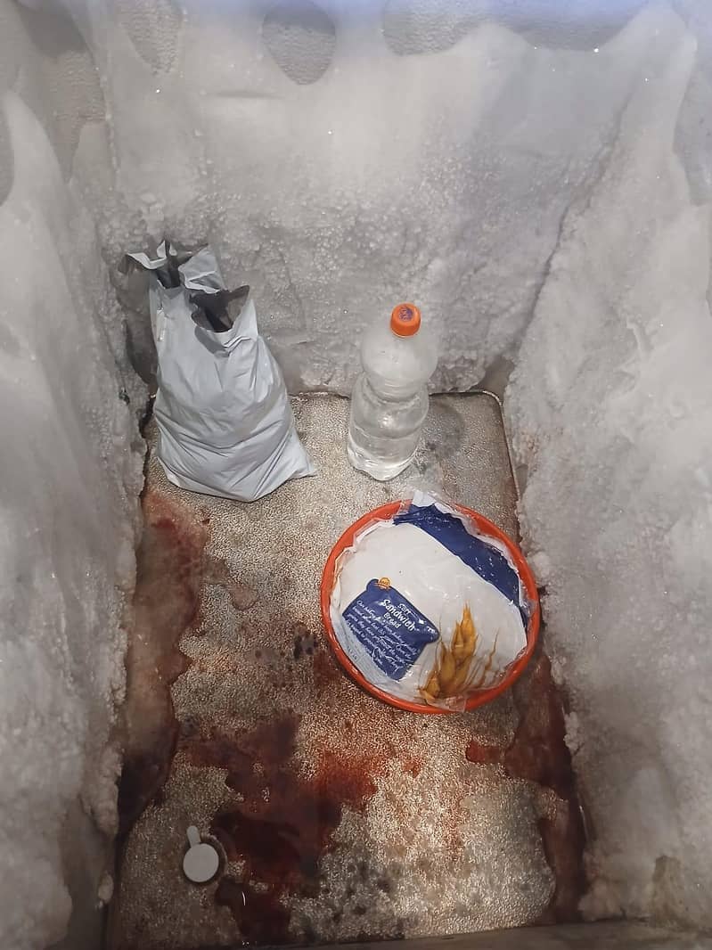 dawlance deepfreezer 1