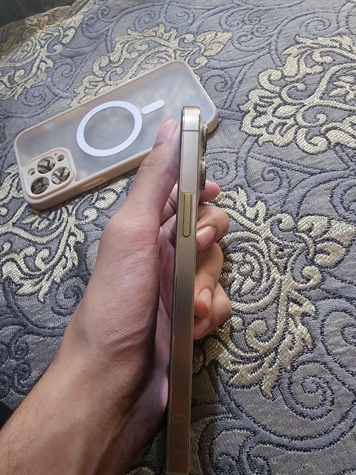 Apple iPhone 13 Pro Max 1