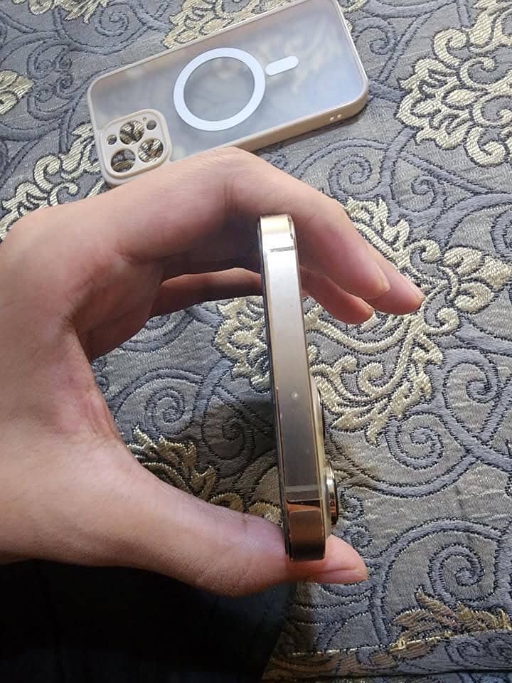 Apple iPhone 13 Pro Max 3